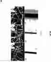 Fig. 06 - NON-STICKY NANOFIBROUS MEMBRANE HAVING CORE AND SHELL AND PROCESS OF PRODUCING SAME