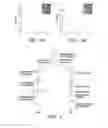 Fig. 06 - GM3 functionalized nanoparticles