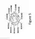 Fig. 06 - Proteinoid compounds, process of preparing same and uses thereof
