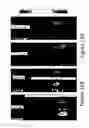 Fig. 16 - Proteinoid compounds, process of preparing same and uses thereof
