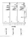 Fig. 19 - Proteinoid compounds, process of preparing same and uses thereof