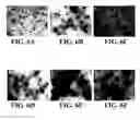 Fig. 10 - Methods of preparing polyelectrolyte complex nanoparticles