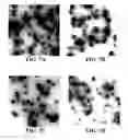 Fig. 11 - Methods of preparing polyelectrolyte complex nanoparticles
