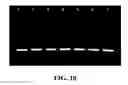 Fig. 14 - Methods of preparing polyelectrolyte complex nanoparticles