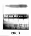 Fig. 15 - Methods of preparing polyelectrolyte complex nanoparticles
