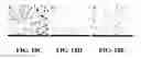 Fig. 24 - Methods of preparing polyelectrolyte complex nanoparticles