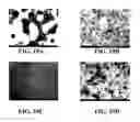 Fig. 25 - Methods of preparing polyelectrolyte complex nanoparticles
