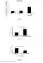 Fig. 04 - Sensorineural hair cell differentiation