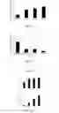 Fig. 08 - Sensorineural hair cell differentiation