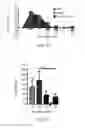 Fig. 04 - Compositions and methods for inhibiting intimal hyperplasia