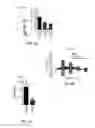 Fig. 05 - Compositions and methods for inhibiting intimal hyperplasia