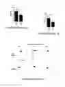 Fig. 20 - Compositions and methods for inhibiting intimal hyperplasia