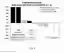 Fig. 06 - NANOPARTICLES COMPRISING DOCETAXEL FOR TREATING CANCERS HAVING A K-RAS MUTATION