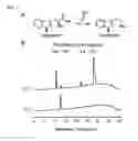 Fig. 02 - Method for treating a gastrointestinal disorder in a mammal using bacteroides thetaiotaomicron and compositions thereof