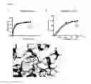 Fig. 06 - Method for treating a gastrointestinal disorder in a mammal using bacteroides thetaiotaomicron and compositions thereof