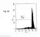 Fig. 15 - THERAPEUTIC COMPOSITIONS CONTAINING HARMINE AND ISOVANILLIN COMPONENTS, AND METHODS OF USE THEREOF