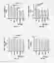 Fig. 11 - TARGETED NANOPARTICLE COMPOSITIONS AND METHODS OF THEIR USE TO TREAT OBESITY