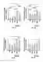 Fig. 13 - TARGETED NANOPARTICLE COMPOSITIONS AND METHODS OF THEIR USE TO TREAT OBESITY