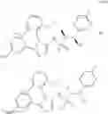 Fig. 1046 - Triazole agonists of the APJ receptor