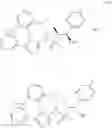 Fig. 1071 - Triazole agonists of the APJ receptor