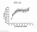 Fig. 12 - Triazole agonists of the APJ receptor