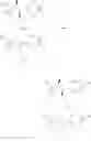 Fig. 1303 - Triazole agonists of the APJ receptor