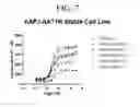 Fig. 14 - Triazole agonists of the APJ receptor