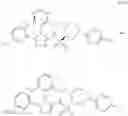 Fig. 1571 - Triazole agonists of the APJ receptor