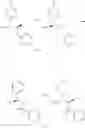Fig. 248 - Triazole agonists of the APJ receptor