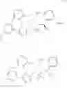 Fig. 674 - Triazole agonists of the APJ receptor