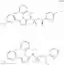 Fig. 804 - Triazole agonists of the APJ receptor