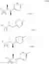 Fig. 862 - Triazole agonists of the APJ receptor