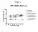 Fig. 15 - Triazole agonists of the APJ receptor