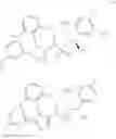 Fig. 706 - Triazole agonists of the APJ receptor