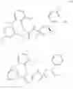Fig. 760 - Triazole agonists of the APJ receptor