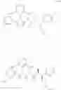 Fig. 875 - Triazole agonists of the APJ receptor