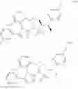 Fig. 918 - Triazole agonists of the APJ receptor
