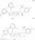 Fig. 960 - Triazole agonists of the APJ receptor
