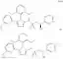 Fig. 971 - Triazole agonists of the APJ receptor
