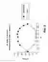 Fig. 03 - ORALLY EFFECTIVE METHYLPHENIDATE EXTENDED RELEASE POWDER AND AQUEOUS SUSPENSION PRODUCT