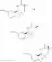Fig. 19 - Combination treatment comprising administration of 2-amino-3,5,5-trifluoro-3,4,5,6-tetrahydropyridines