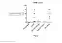 Fig. 07 - CERDULATINIB FOR TREATING MYELOMA