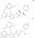 Fig. 1069 - Intermediates for preparing triazole agonists of the APJ receptor