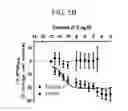 Fig. 11 - Intermediates for preparing triazole agonists of the APJ receptor