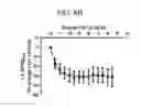 Fig. 13 - Intermediates for preparing triazole agonists of the APJ receptor