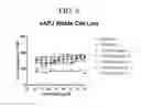 Fig. 15 - Intermediates for preparing triazole agonists of the APJ receptor
