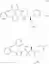 Fig. 867 - Intermediates for preparing triazole agonists of the APJ receptor