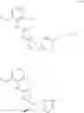 Fig. 893 - Intermediates for preparing triazole agonists of the APJ receptor
