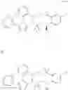 Fig. 925 - Intermediates for preparing triazole agonists of the APJ receptor