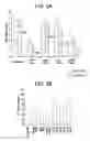 Fig. 08 - METHODS AND COMPOSITIONS FOR TREATING VIRAL OR VIRALLY-INDUCED CONDITIONS